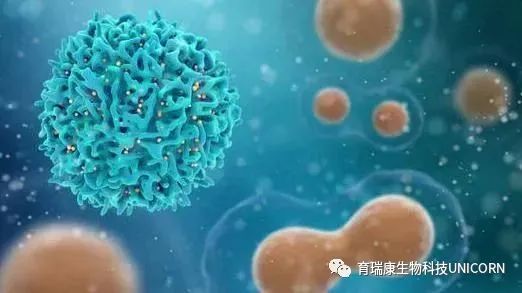 定期免疫检测，就是最好的“健康险”